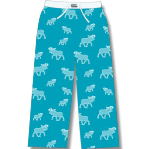 Turquoise all over Moose